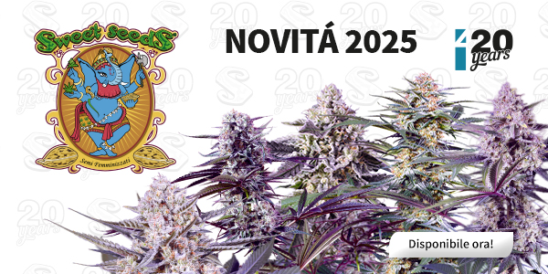 Sweet Seeds