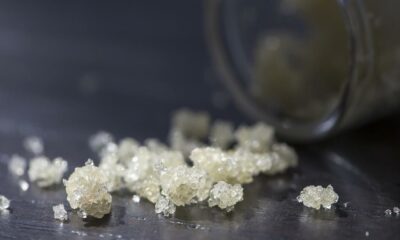 L'Italia classifica gli estratti di CBD come narcotici