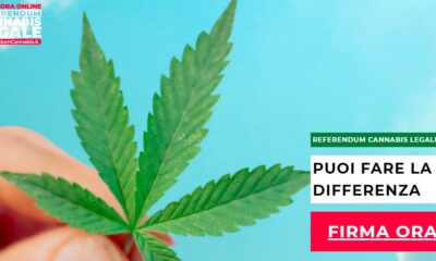 Referendum per depenalizzare la cannabis lanciato in Italia