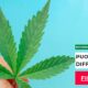 Referendum per depenalizzare la cannabis lanciato in Italia