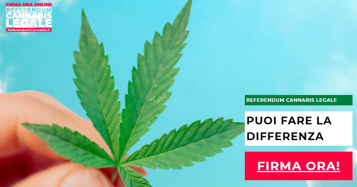 Referendum per depenalizzare la cannabis lanciato in Italia