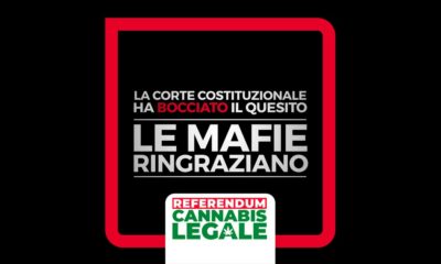 La Corte Costituzionale italiana respinge il referendum per legalizzare la cannabis