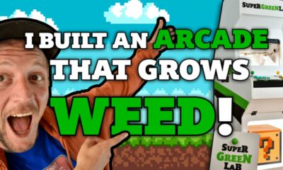 Arcade Grow Box