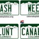 Plaques immatriculation cannabis