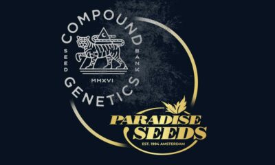 Paradise Seeds et Compound Genetics