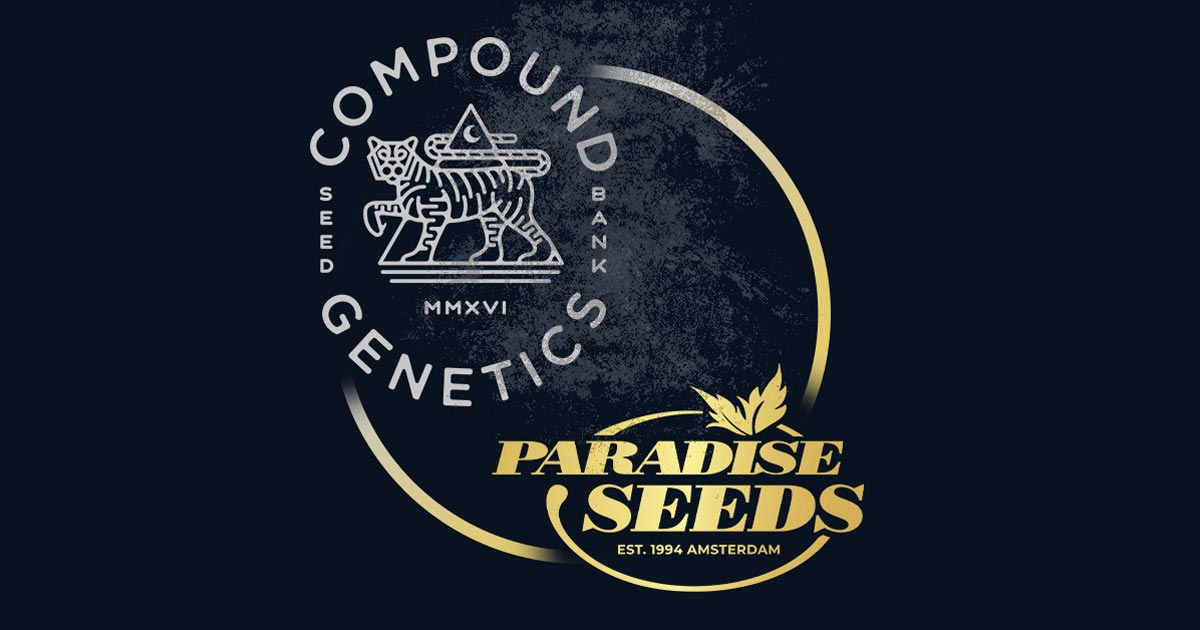 Paradise Seeds et Compound Genetics