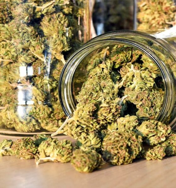 Il New Jersey vende quasi 2 milioni di dollari di cannabis nel primo giorno di vendita