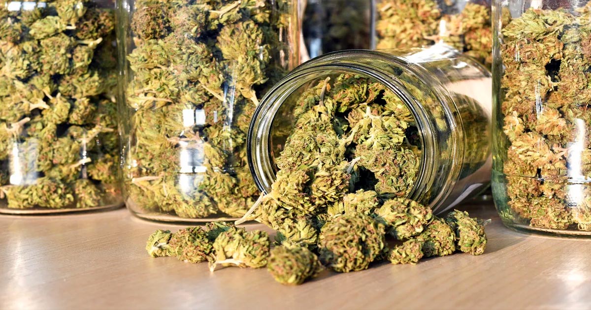 Il New Jersey vende quasi 2 milioni di dollari di cannabis nel primo giorno di vendita