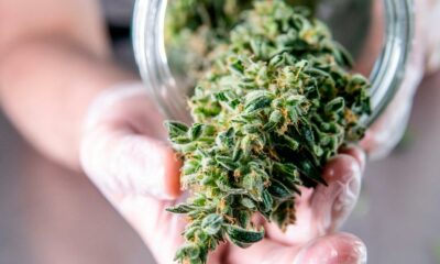 La cannabis medica sarà venduta in Grecia nel 2022