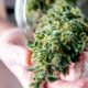 La cannabis medica sarà venduta in Grecia nel 2022