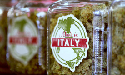 Cannabis medica in Italia