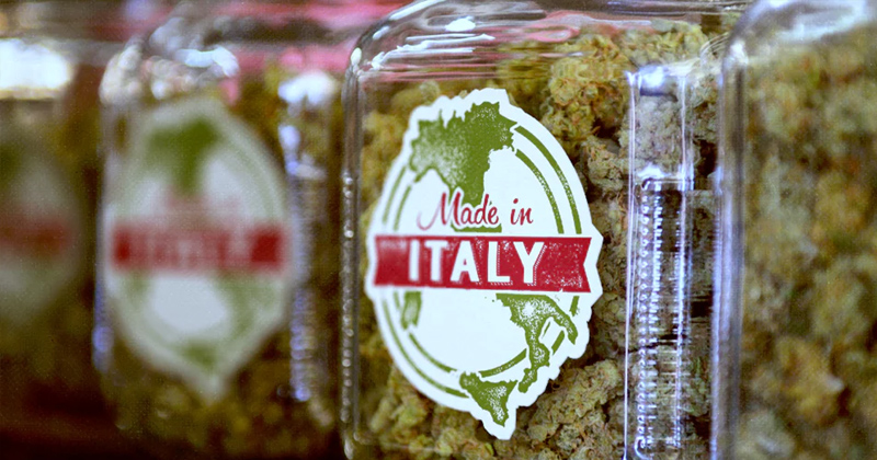 Cannabis medica in Italia