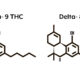 Il Delta-8-THC è illegale in Francia