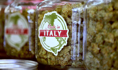 Dibattito sulla legalizzazione della cannabis in Italia