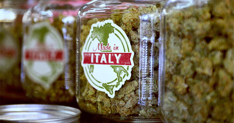 Dibattito sulla legalizzazione della cannabis in Italia