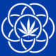 Bandiera della terra della cannabis