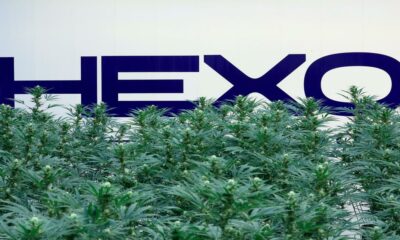 Hexo e Tilray