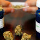 Legalizzazione della cannabis medica in Italia