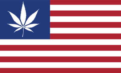 la legalizzazione della cannabis negli Stati Uniti