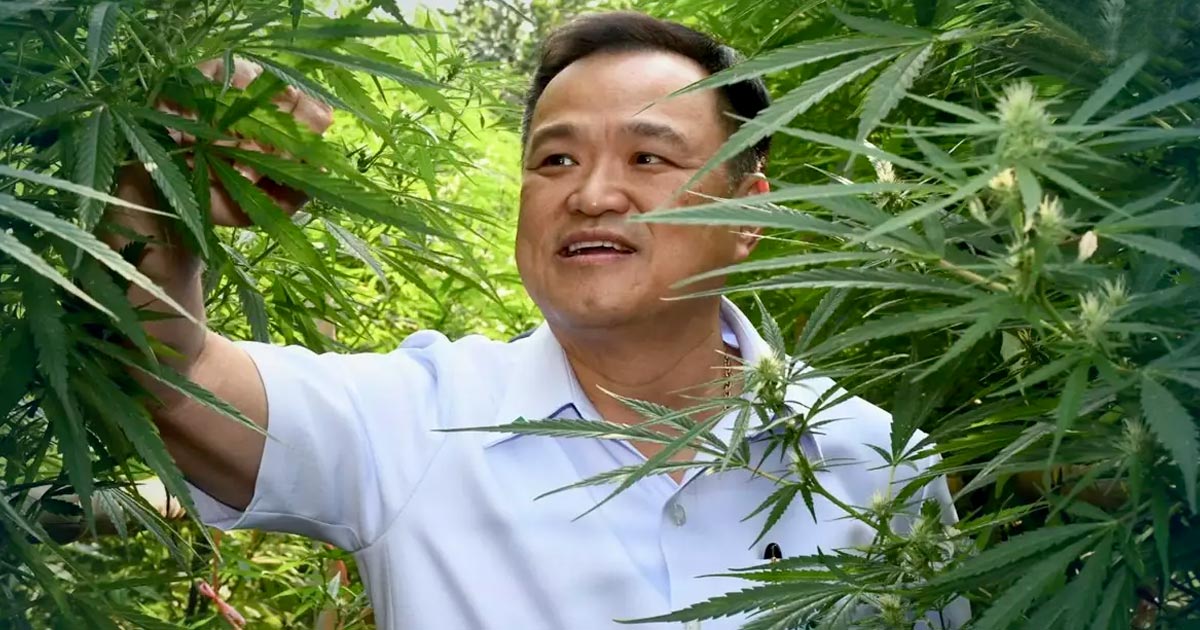 Ministro della salute tailandese nel suo giardino