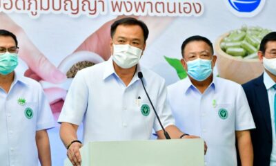 Olio di cannabis gratuito in Thailandia