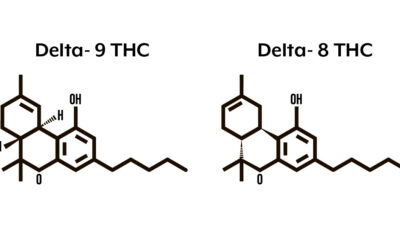 Il Delta-8-THC è illegale in Francia