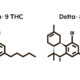 Il Delta-8-THC è illegale in Francia