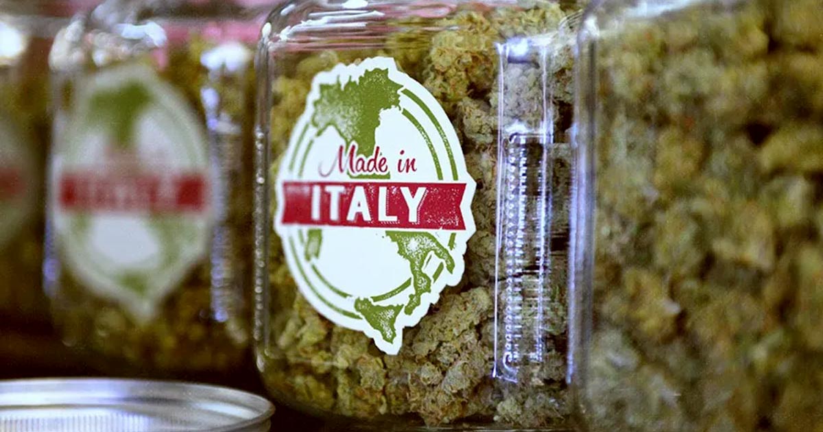 Autoproduzione di cannabis in Italia