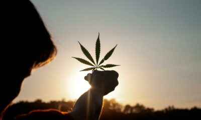 Il mondo migliore della cannabis