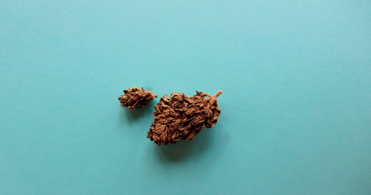 Cannabis CBD con Pentano