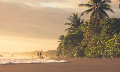 Legalizzazione della cannabis in Costa Rica