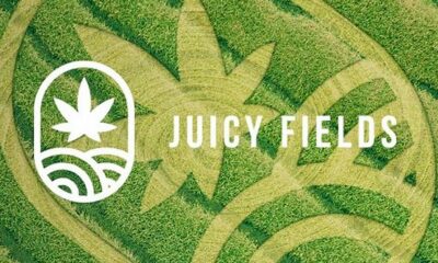 Truffa di Juicy Fields