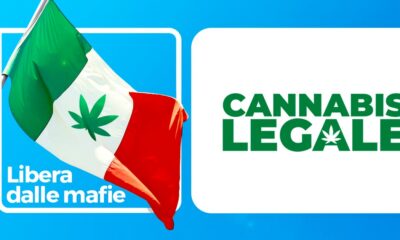 Prospettive per la legalizzazione della cannabis in Italia