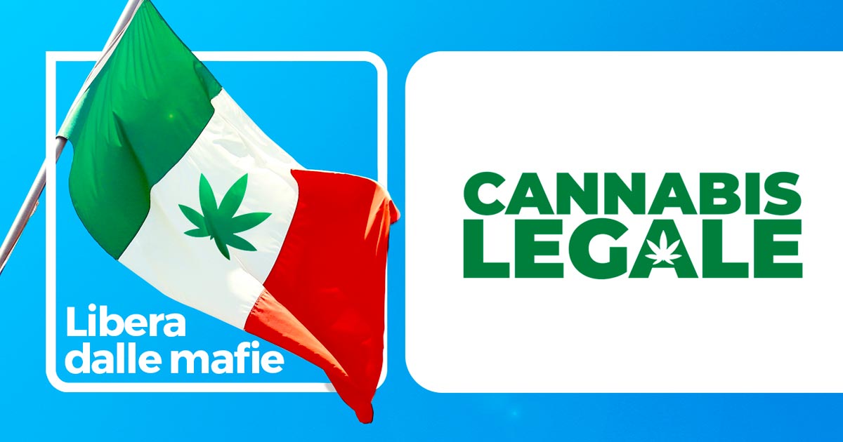 Prospettive per la legalizzazione della cannabis in Italia