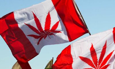 4 anni di legalizzazione della cannabis in Canada