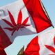 4 anni di legalizzazione della cannabis in Canada