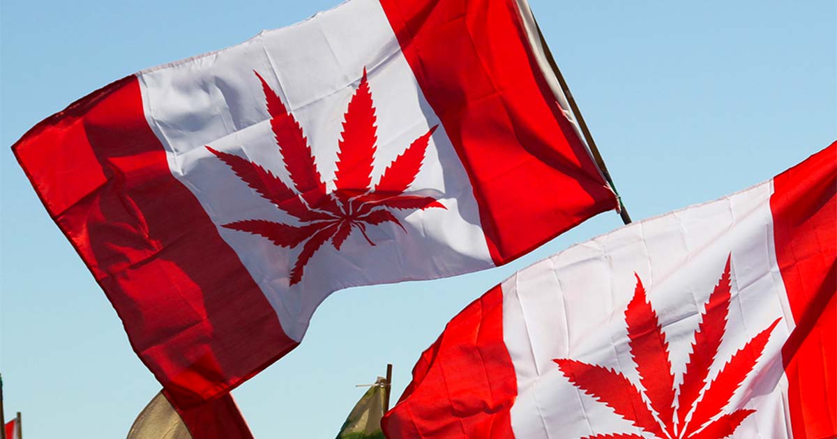 4 anni di legalizzazione della cannabis in Canada