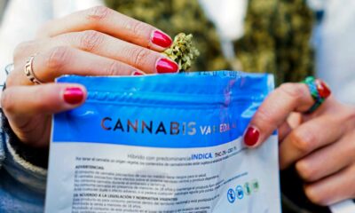 Legalizzazione della cannabis in Uruguay