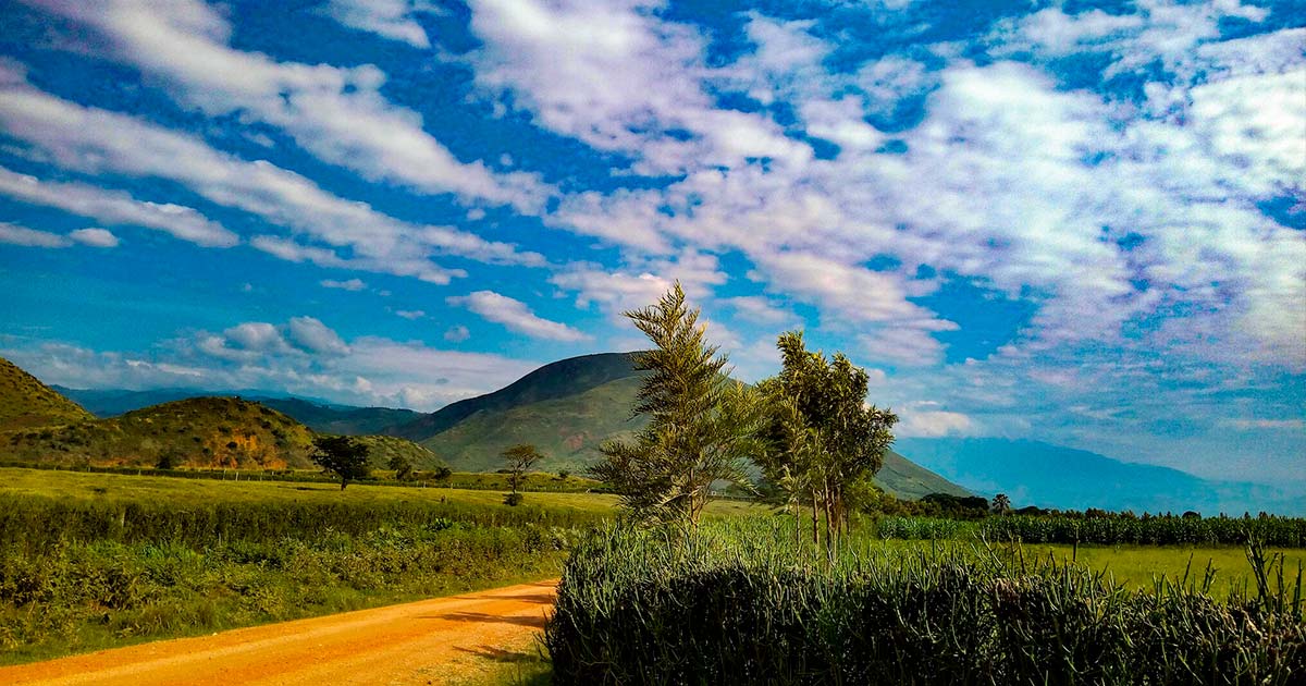 Cannabis medica in Uganda