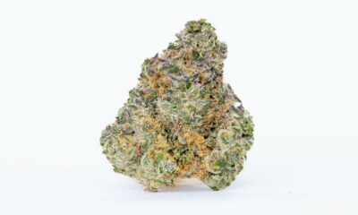 Un Kush all'aglio