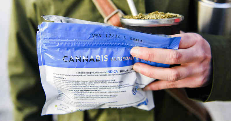 Cannabis in Uruguay