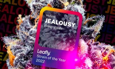 I migliori ceppi di cannabis di Leafly 2022