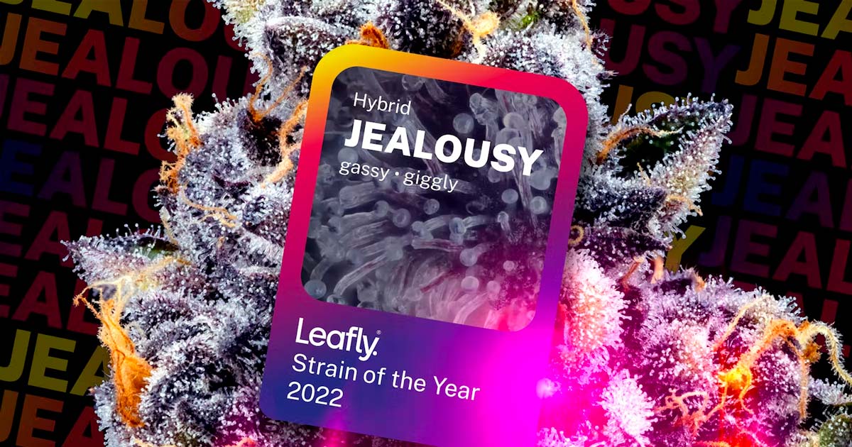 I migliori ceppi di cannabis di Leafly 2022