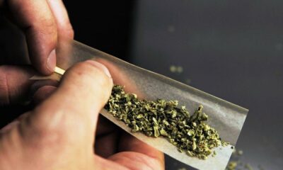 Tendenze del consumo di cannabis in Francia