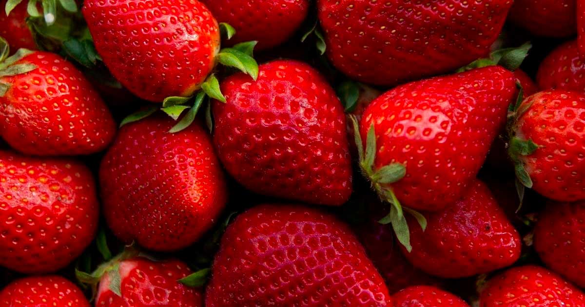 CBD e conservazione della frutta fresca