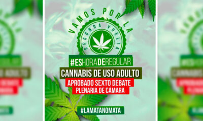Proposta di legalizzazione della cannabis in Colombia