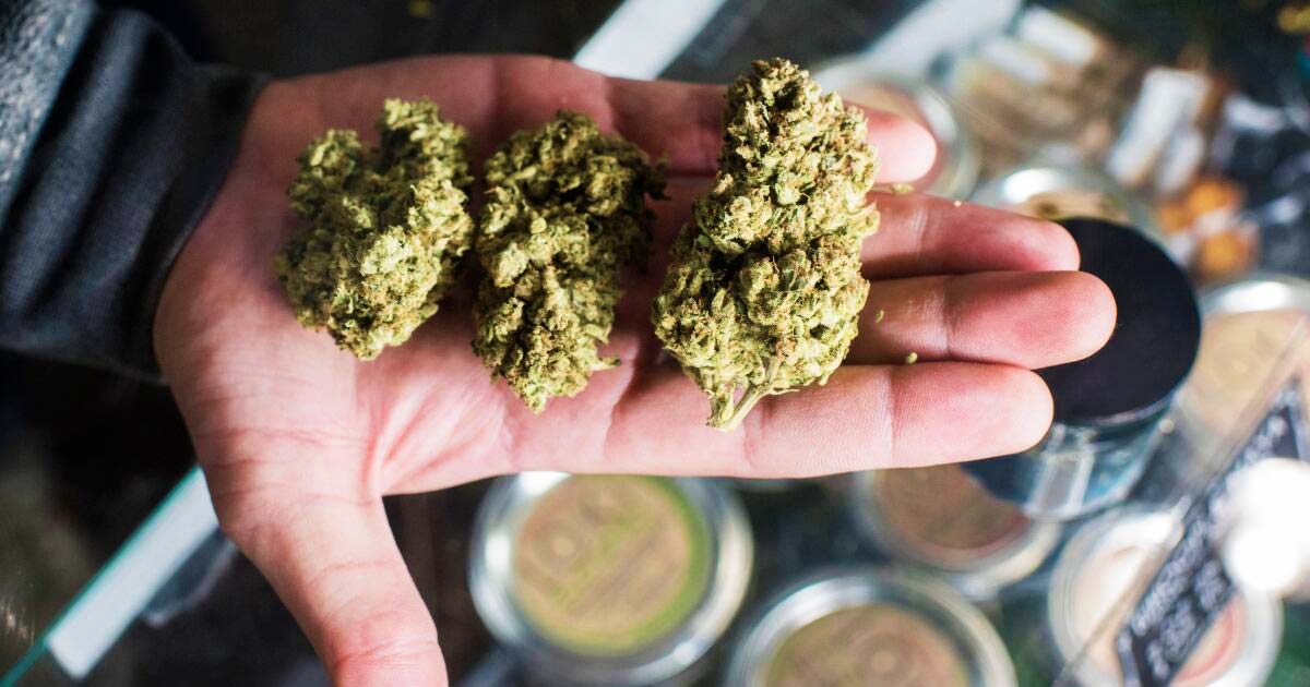 Leggera legalizzazione della cannabis in Germania