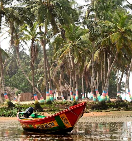 Licenze di canapa in Ghana