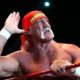 Hulk Hogan si dedica alla cannabis