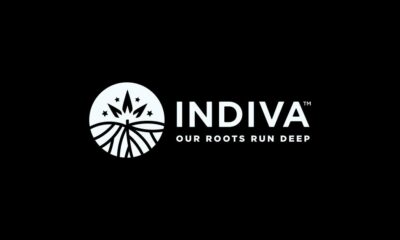 Indiva e Canopy Growth